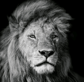 Let the God of the Bible step out of its pages To Bless and Help You!  (Out of Heart of God to You)